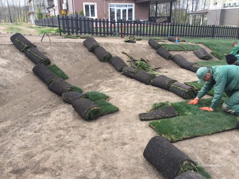 Укладывание газона