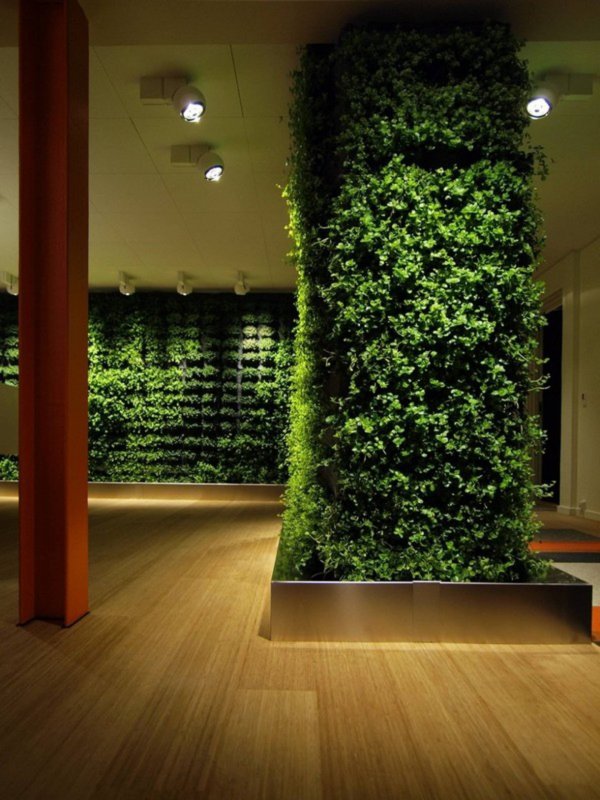 Greenwall фитомодуль