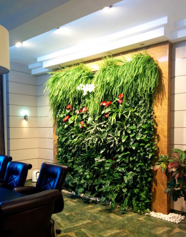 Green Sun фитостены