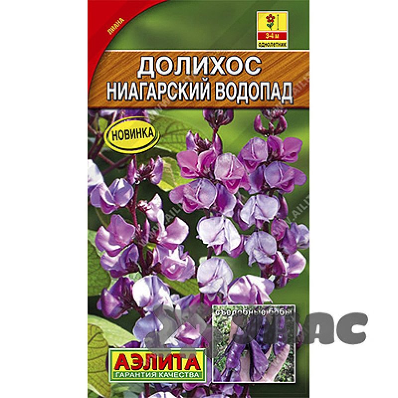 Долихос вьющаяся сирень семена