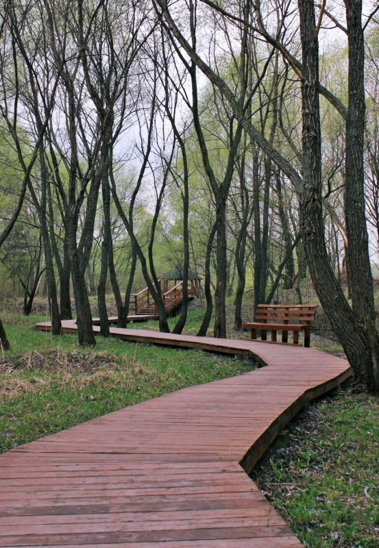 Битцевский парк Лесные тропинки