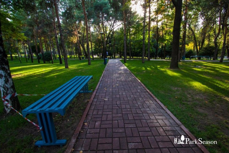 Брусчатка парк Горького Казань