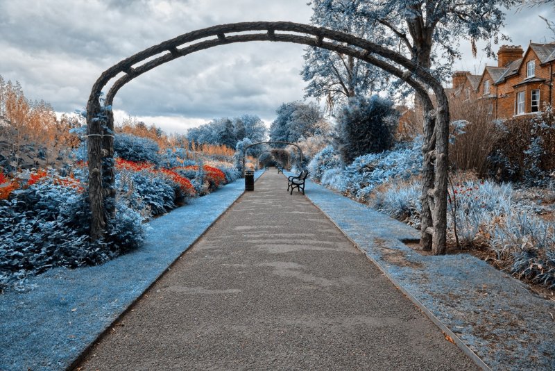 Тропинка в парке