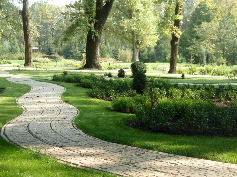 Тропинка в парке