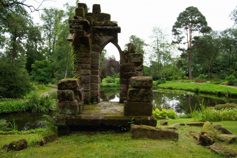 Дерево-слон сад Folly Великобритания
