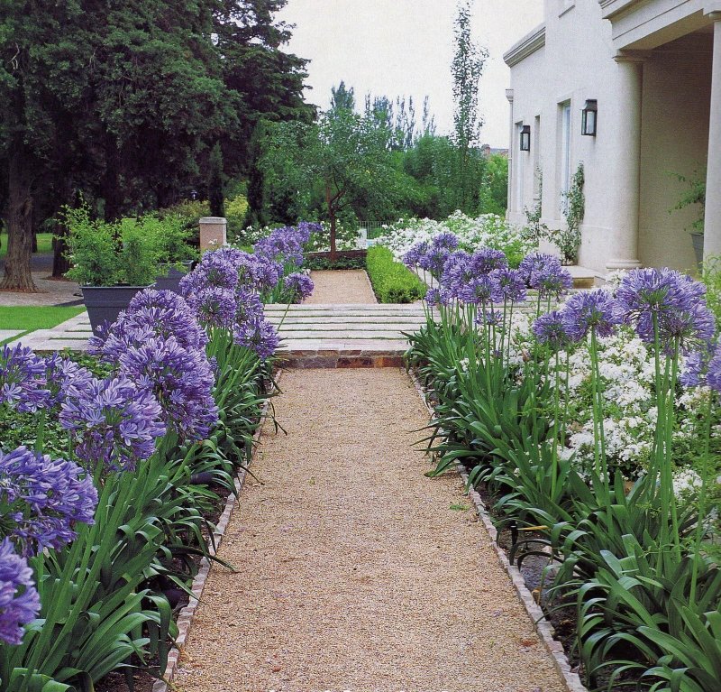 Лилии в ландшафте (46 фото)