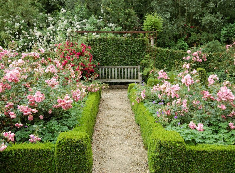 Rose Garden. Розарий.
