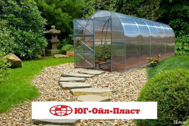 Теплица на даче