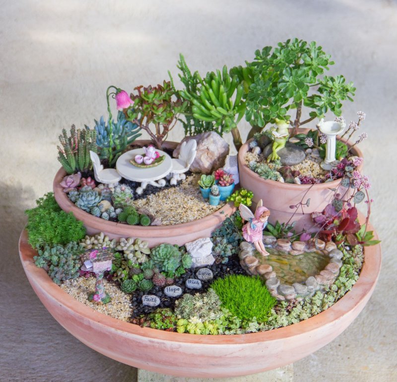 Мини сад Суккуленты мини сад Суккуленты
