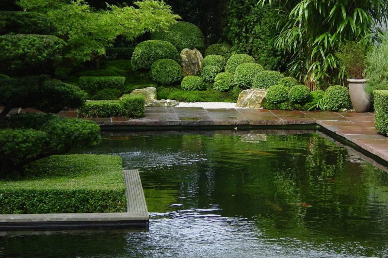 Art Biotop Water Garden. Япония зеленые насаждения