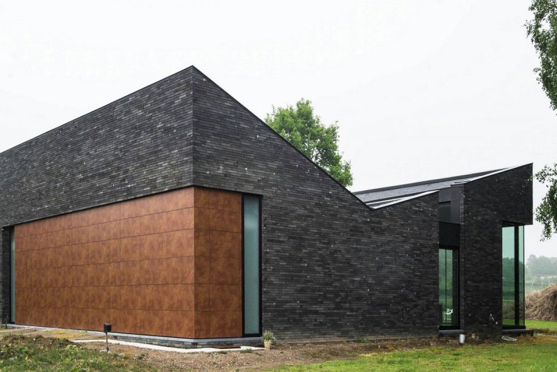 Cedral click Wood c05