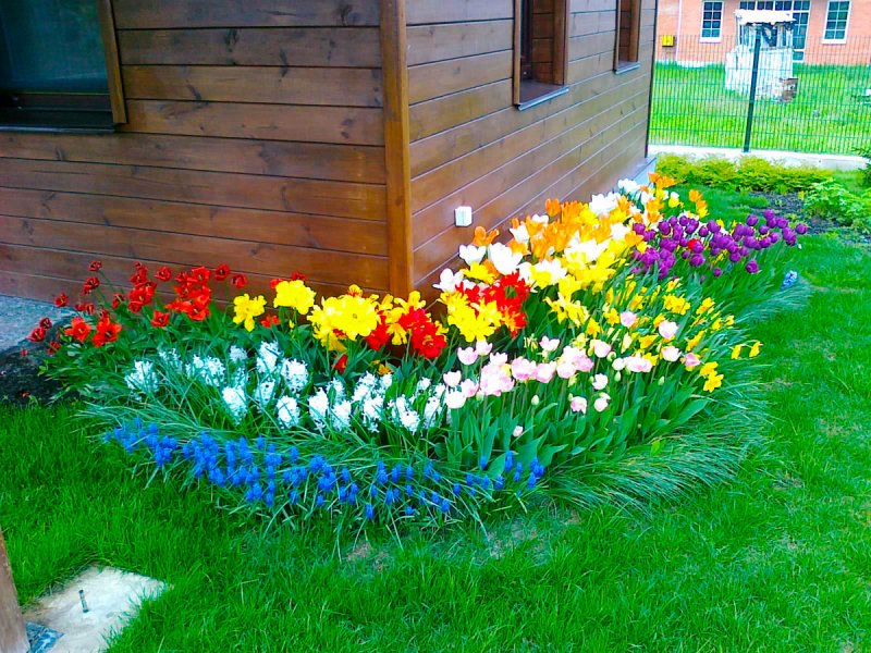 Красивые клумбы на даче
