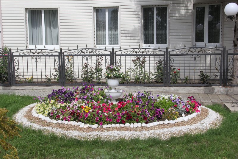 Красивые клумбы возле ДК