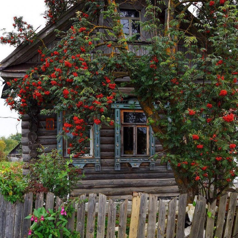 Деревенские мотивы
