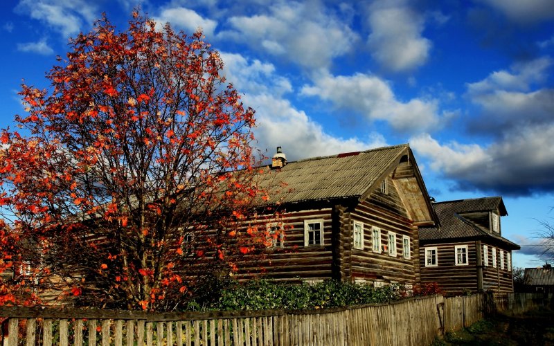 Осень в деревне
