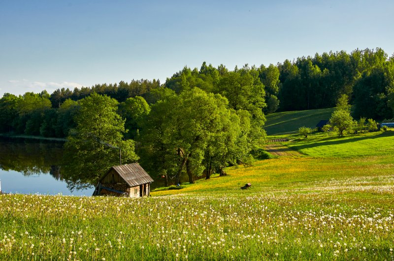 Баня (село)