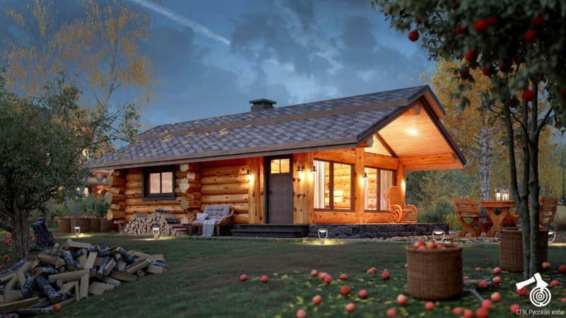 Barn House с плоской крыши