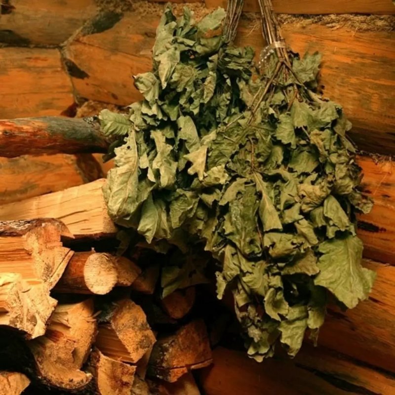 Веники для бани