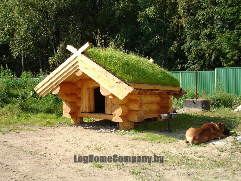 Баня с травяной крышей