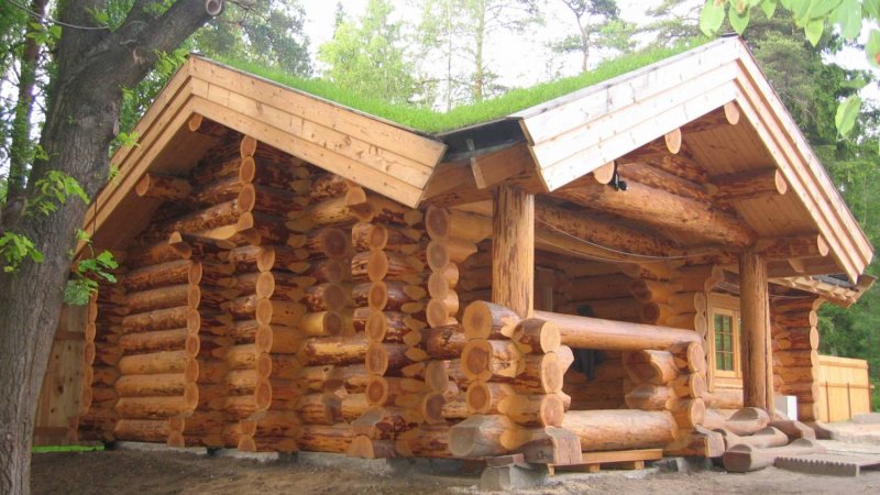 Баня из бревна ручной рубки