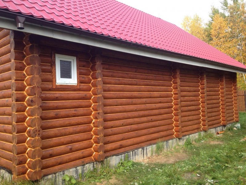 Махагон на бревне