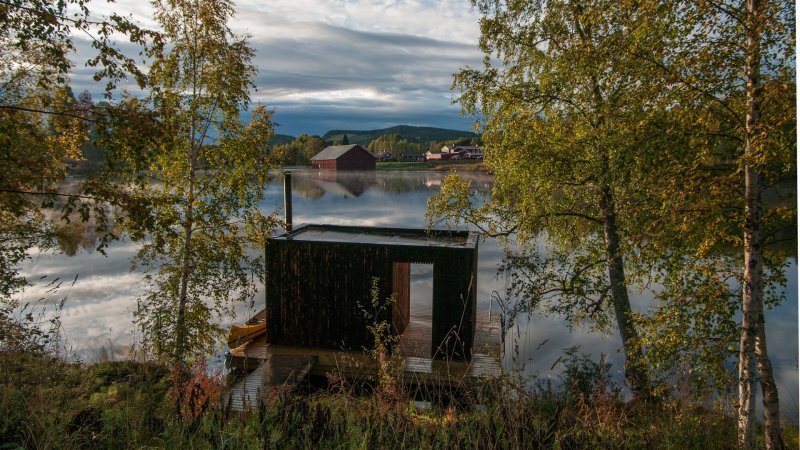 Баня бочка в лесу