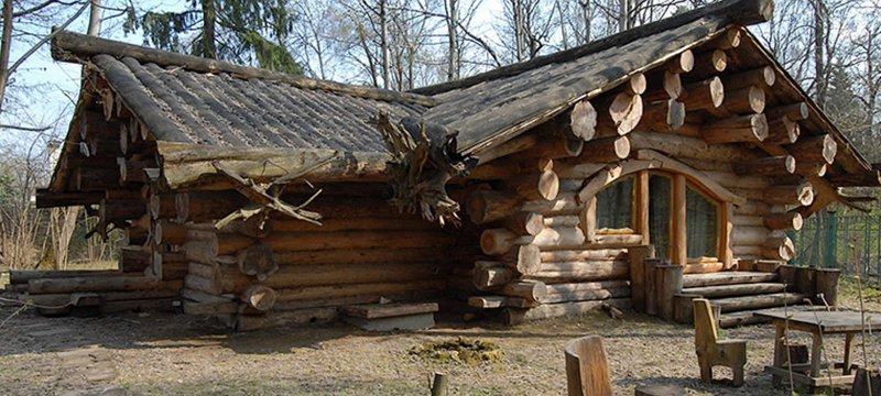 Беседка из сухостойной сосны