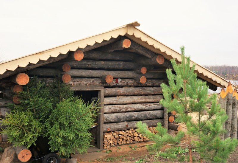 Перегородки в доме из сухарника