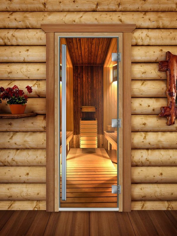 Дверь 700х1900 стекло бронза, DOORWOOD