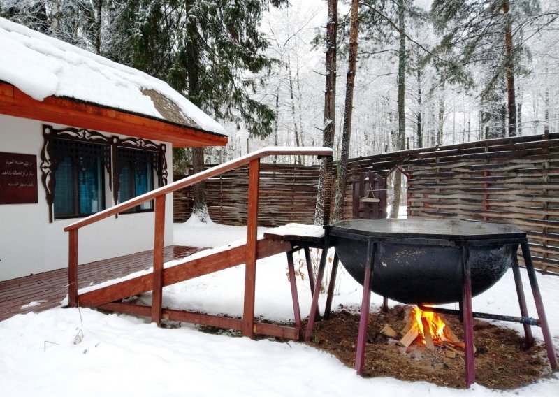 Гуси лебеди банный курорт