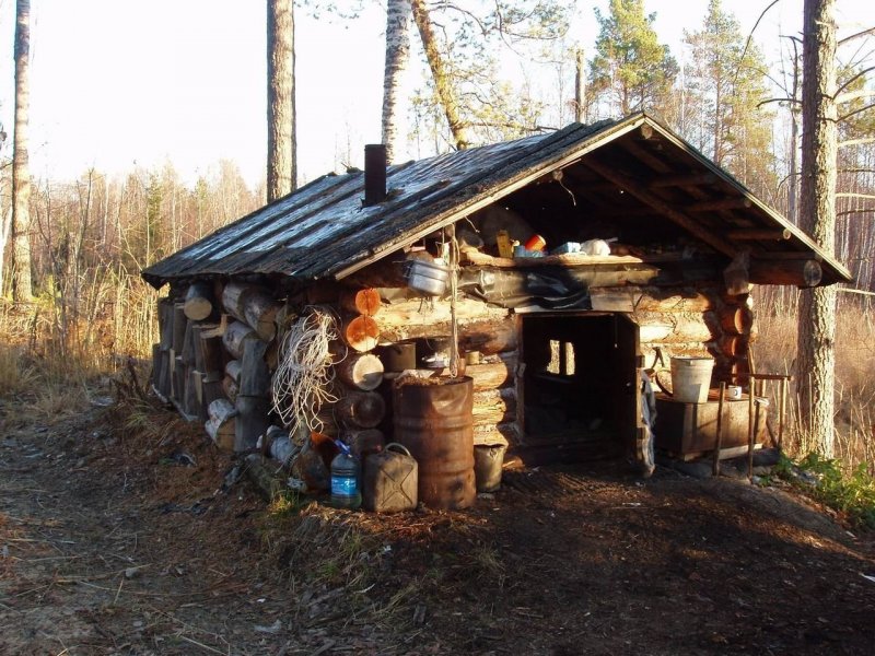 Лесные избушки в Архангельской области