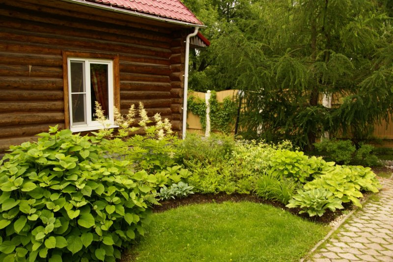 Клумба у бани