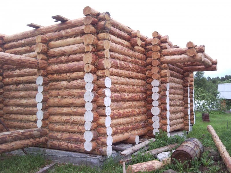 Изба из бревна