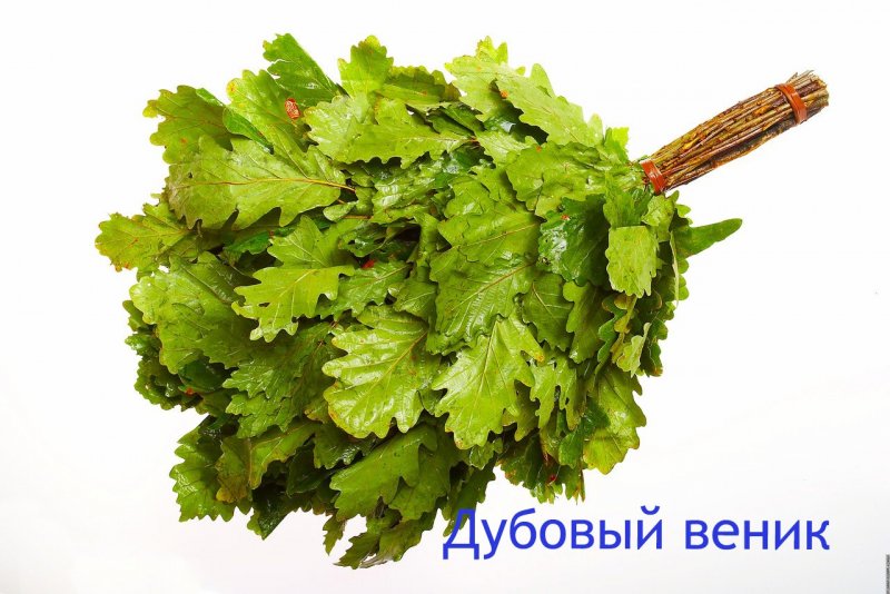 Обси Индастри веник банный