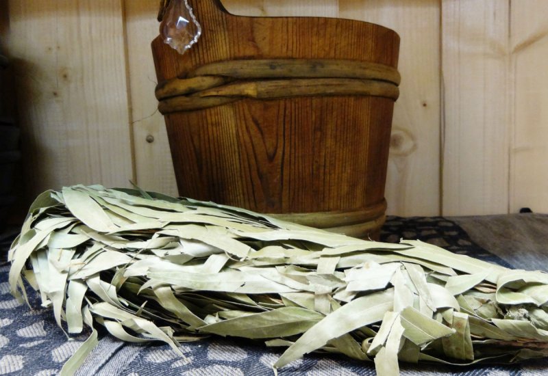 Веник из эвкалипта для бани
