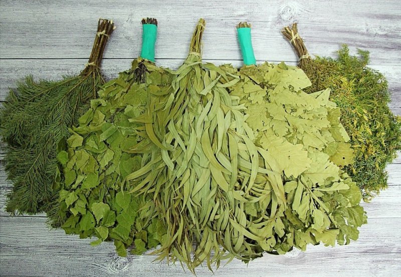 Эвкалипт веник