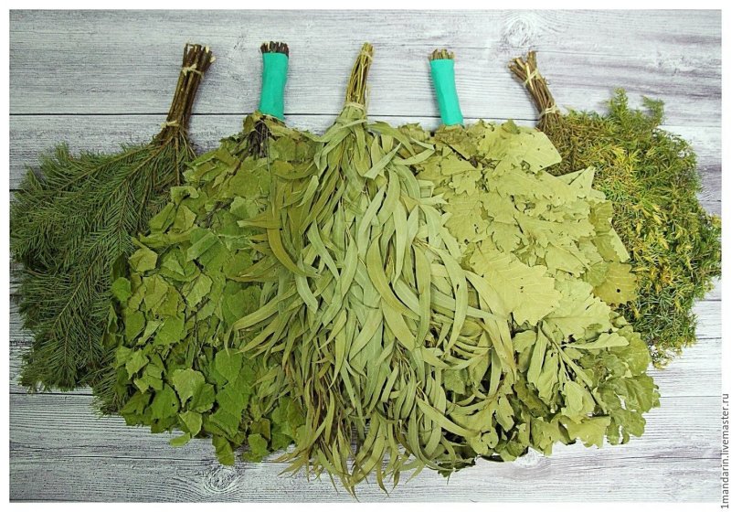 Веник дуб береза
