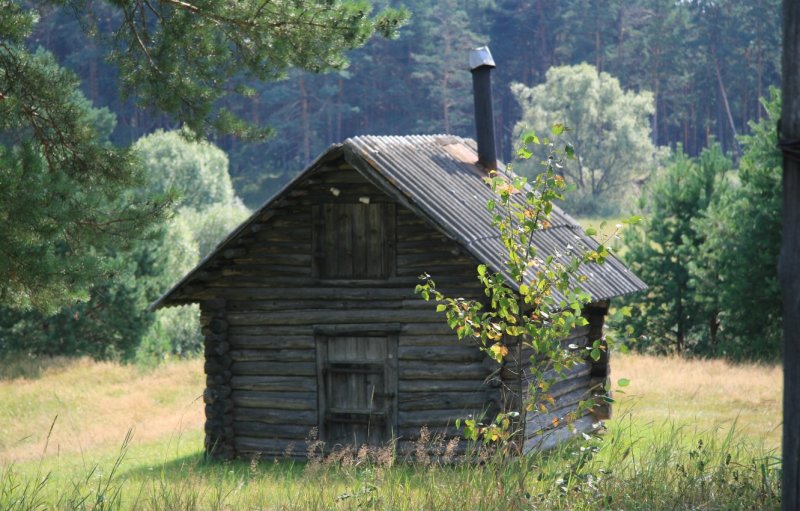Сельская баня (37 фото)