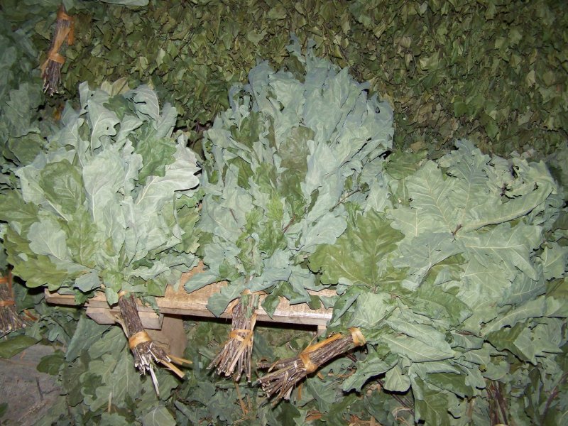 Веник берёзовый и дубовый для бани