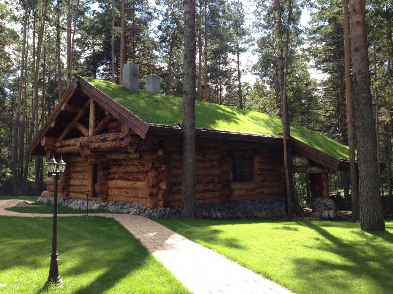 Дом Сибирский кедр