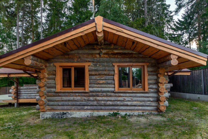 Полярная сосна кело