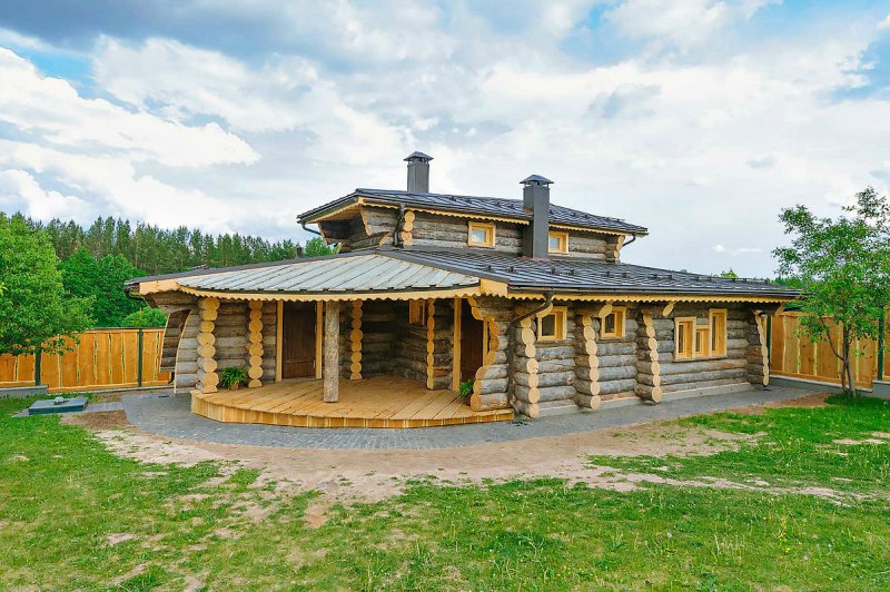 Полярная сосна кело