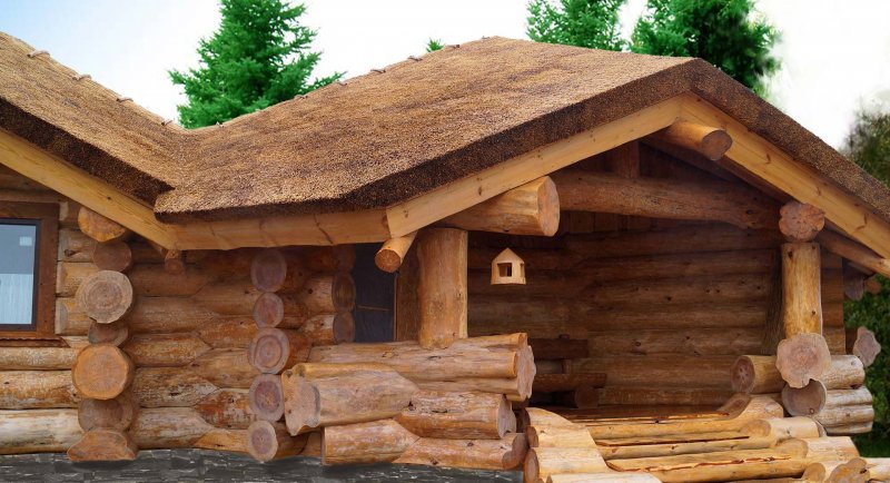 Дикие срубы из крупного бревна