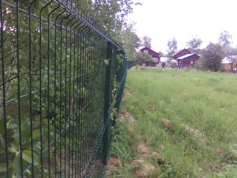 Рабица между соседями