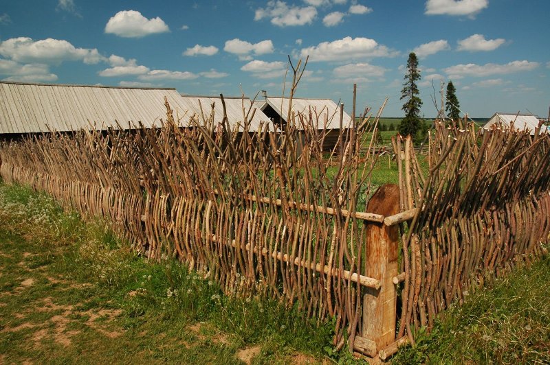 Плетеный забор