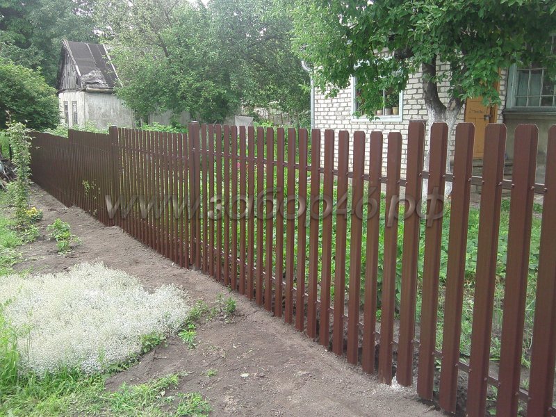 Забор для палисадника металлический штакетник