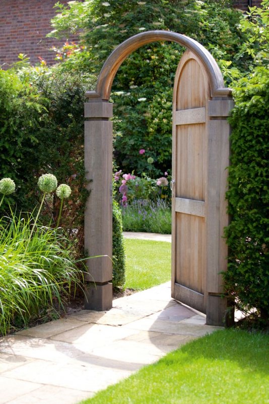 Гарден гейт (Garden Gate) плетистая