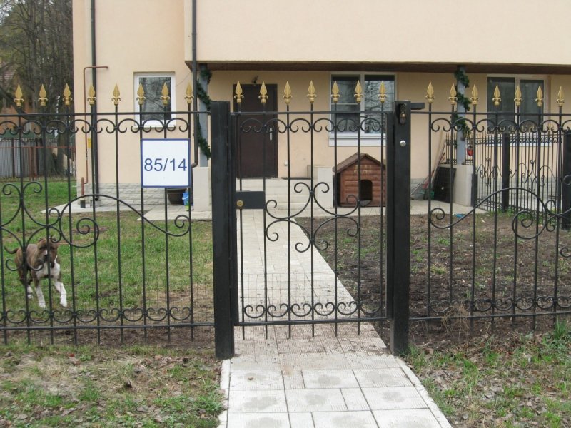 Забор с элементами ковки от собаки