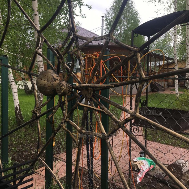 Калитка с паутиной и пауком