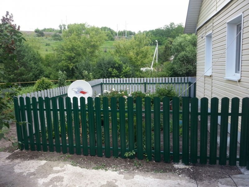 Железный штакетник на палисадник